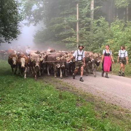 Διαμέρισμα Am Dorfbach Rettenberg